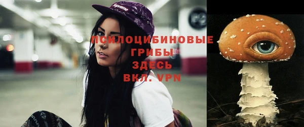 spice Баксан
