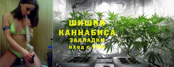 ешки Аркадак