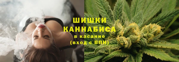 spice Баксан
